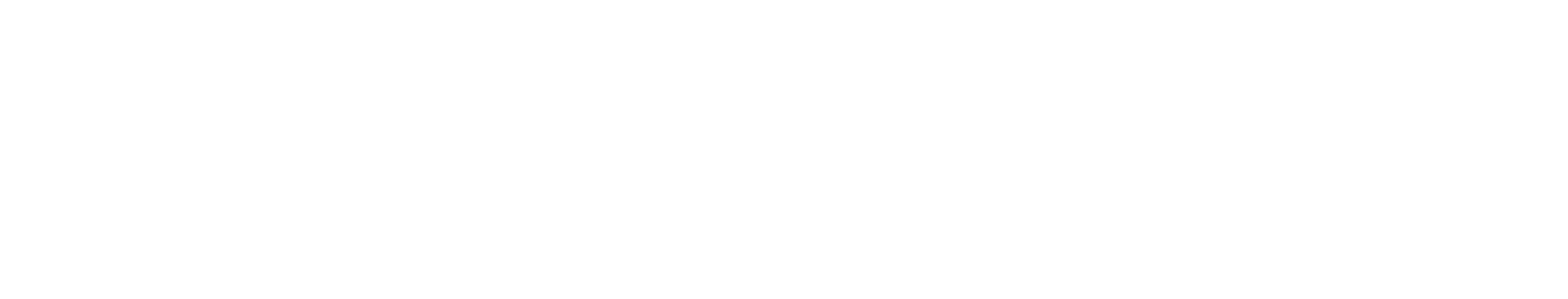 logo light